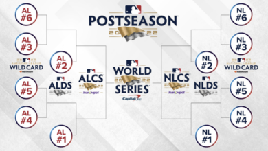 赛上迎来的 赛上迎来的