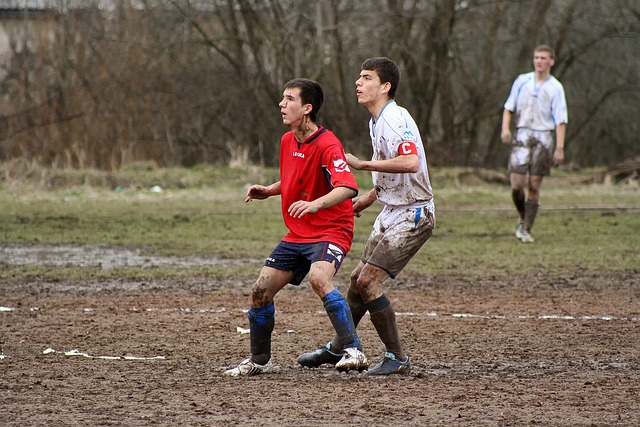 有所体现 有所体现