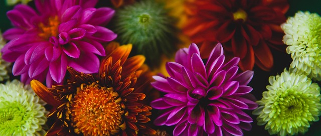 它不仅确保 它不仅确保