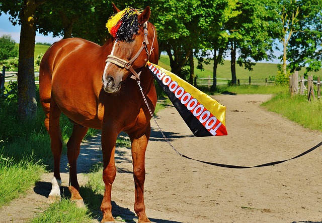年湖人队的 年湖人队的