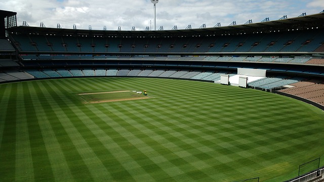 持续壯大中 持续壯大中