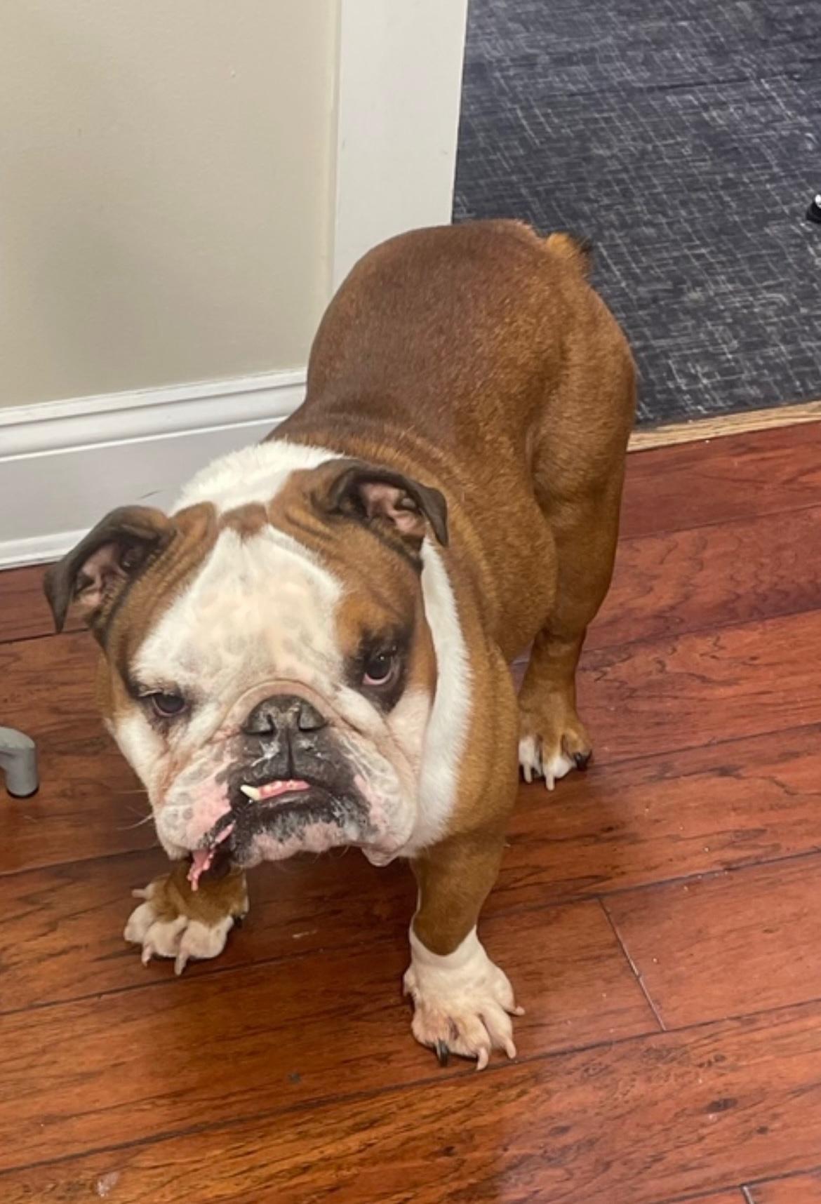 增添色彩 增添色彩