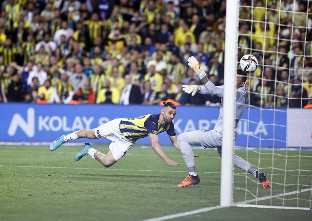 术成功与否 术成功与否