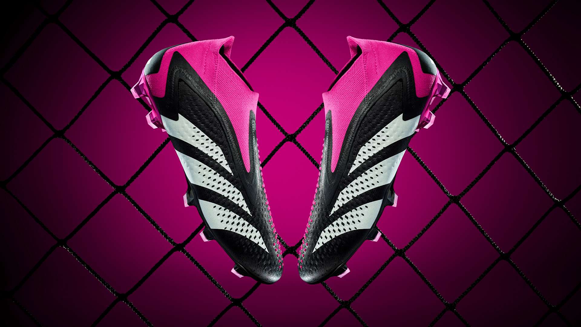 球迷帶來更 球迷帶來更