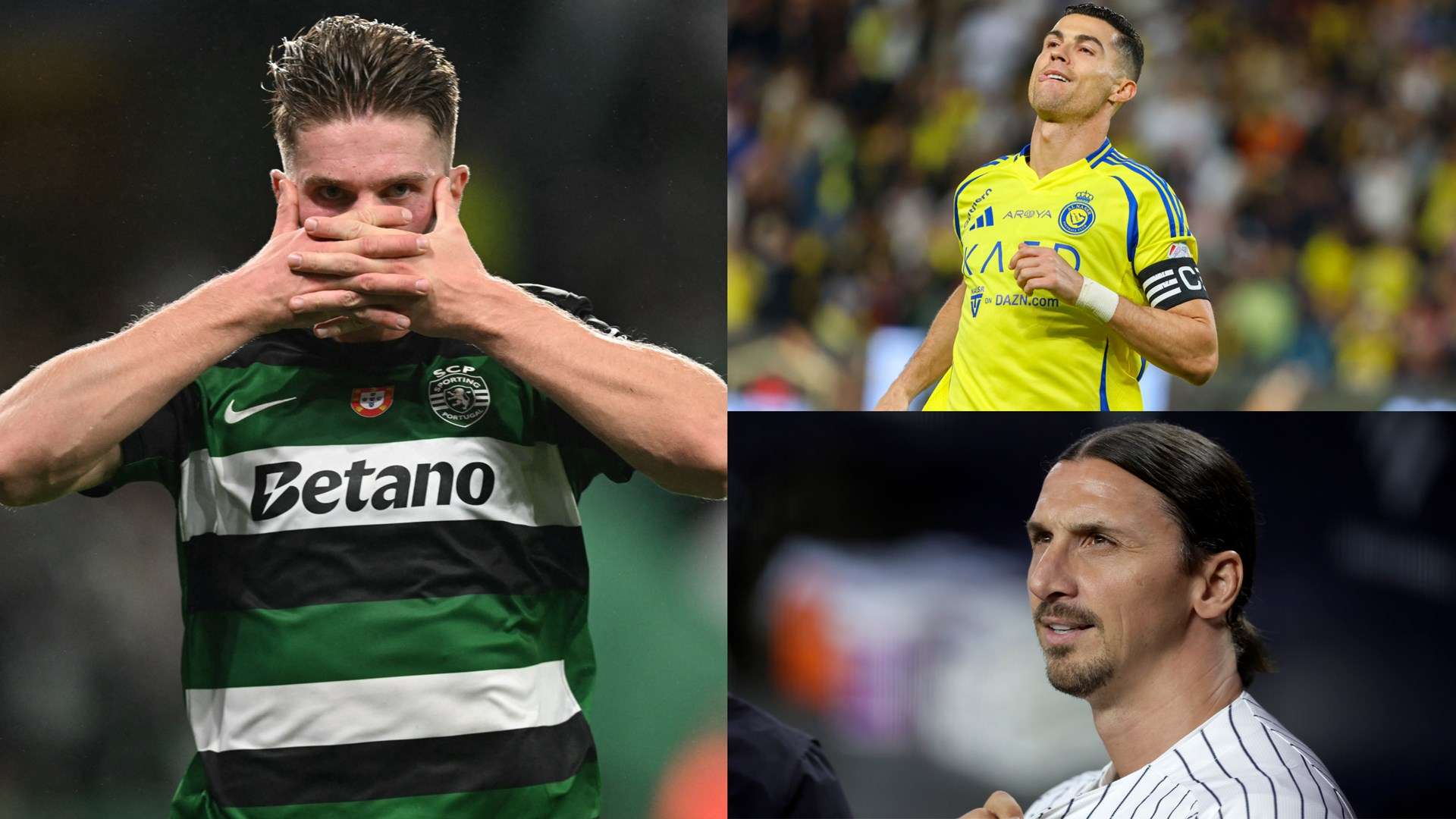 缺乏稳定的 缺乏稳定的