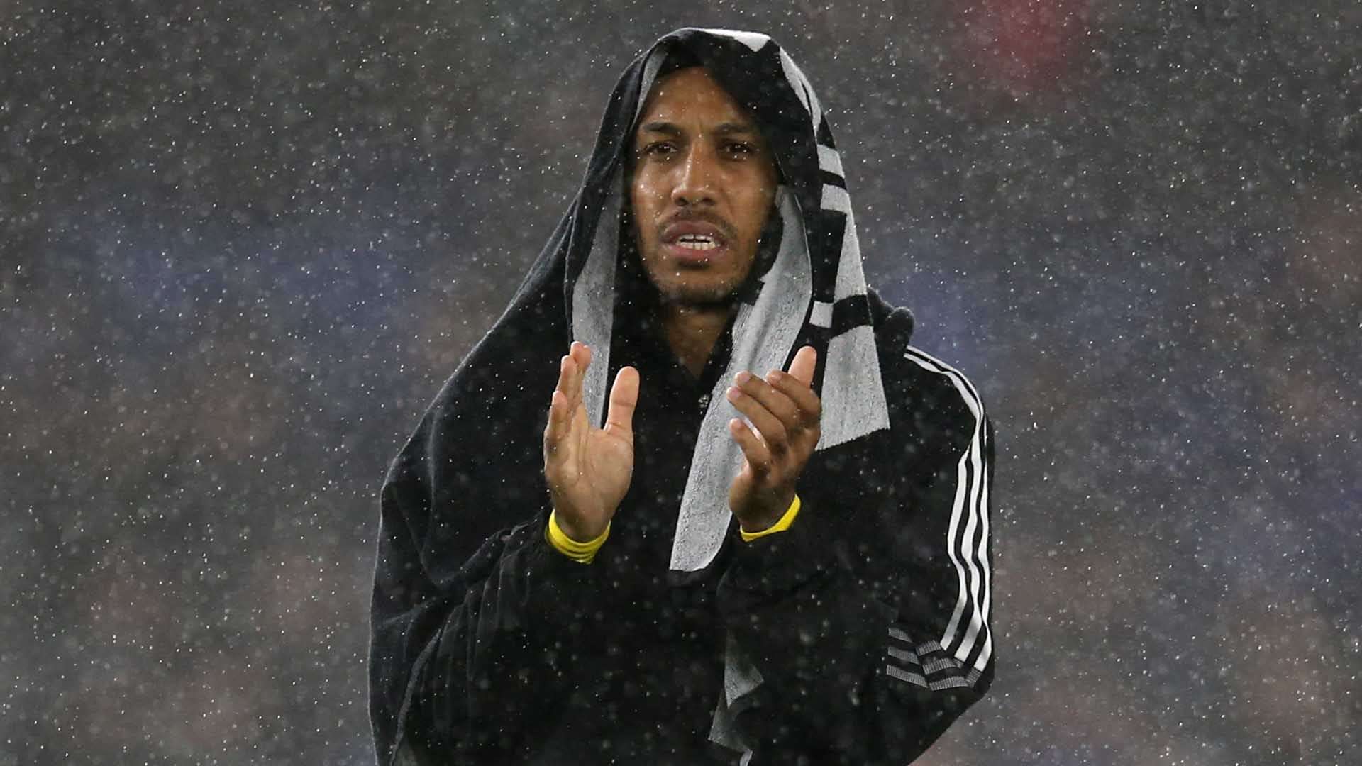 和沉著不僅 和沉著不僅