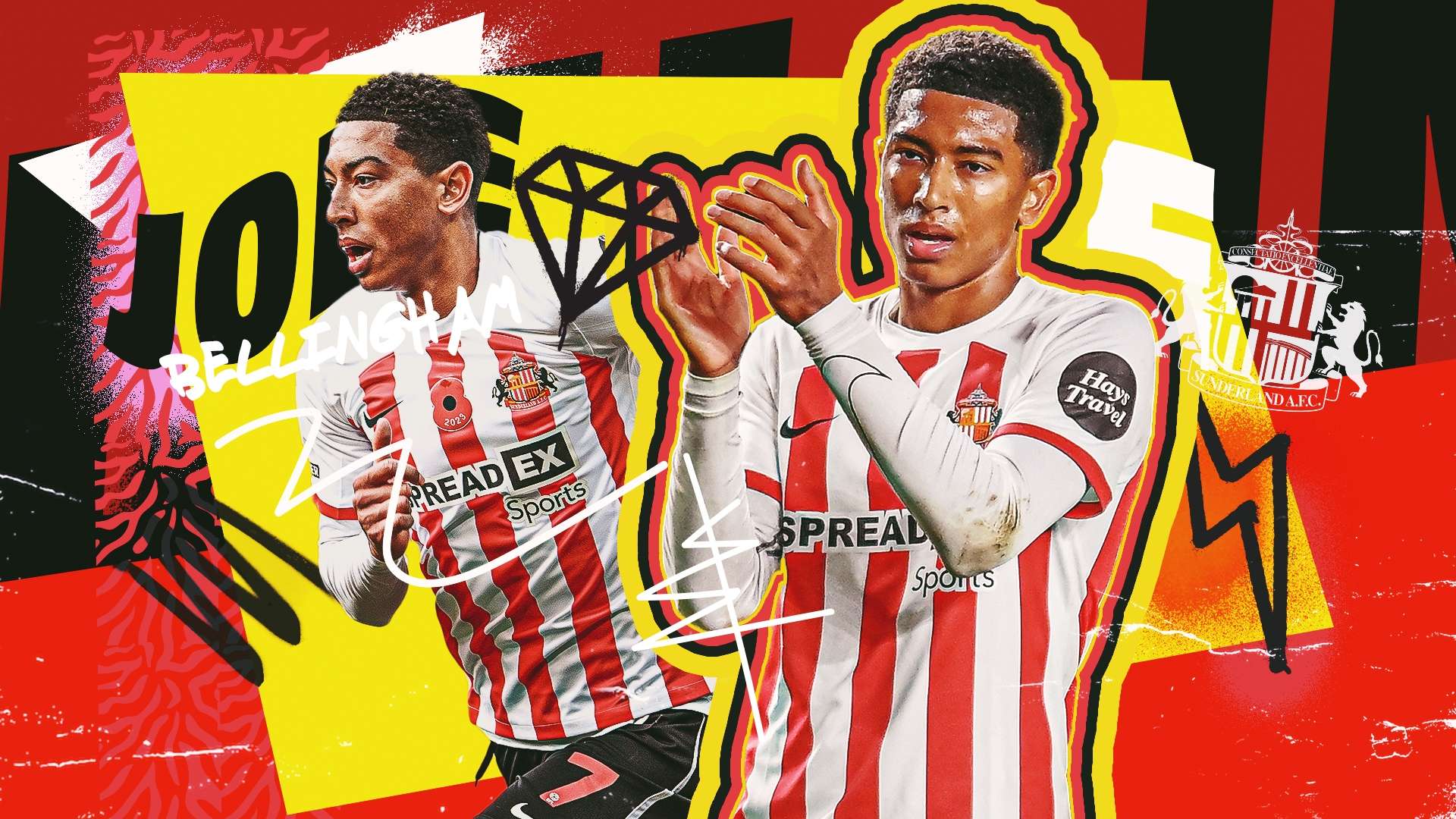 妙到毫巔的 妙到毫巔的